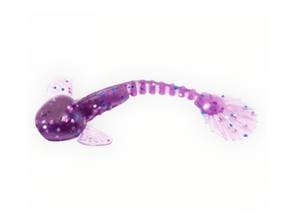 Goby