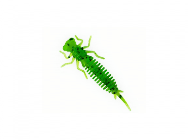 X-Larva