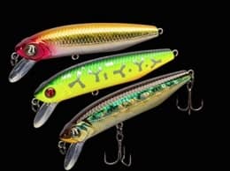 Dexter Minnow