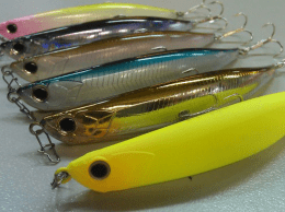 Bent Minnow